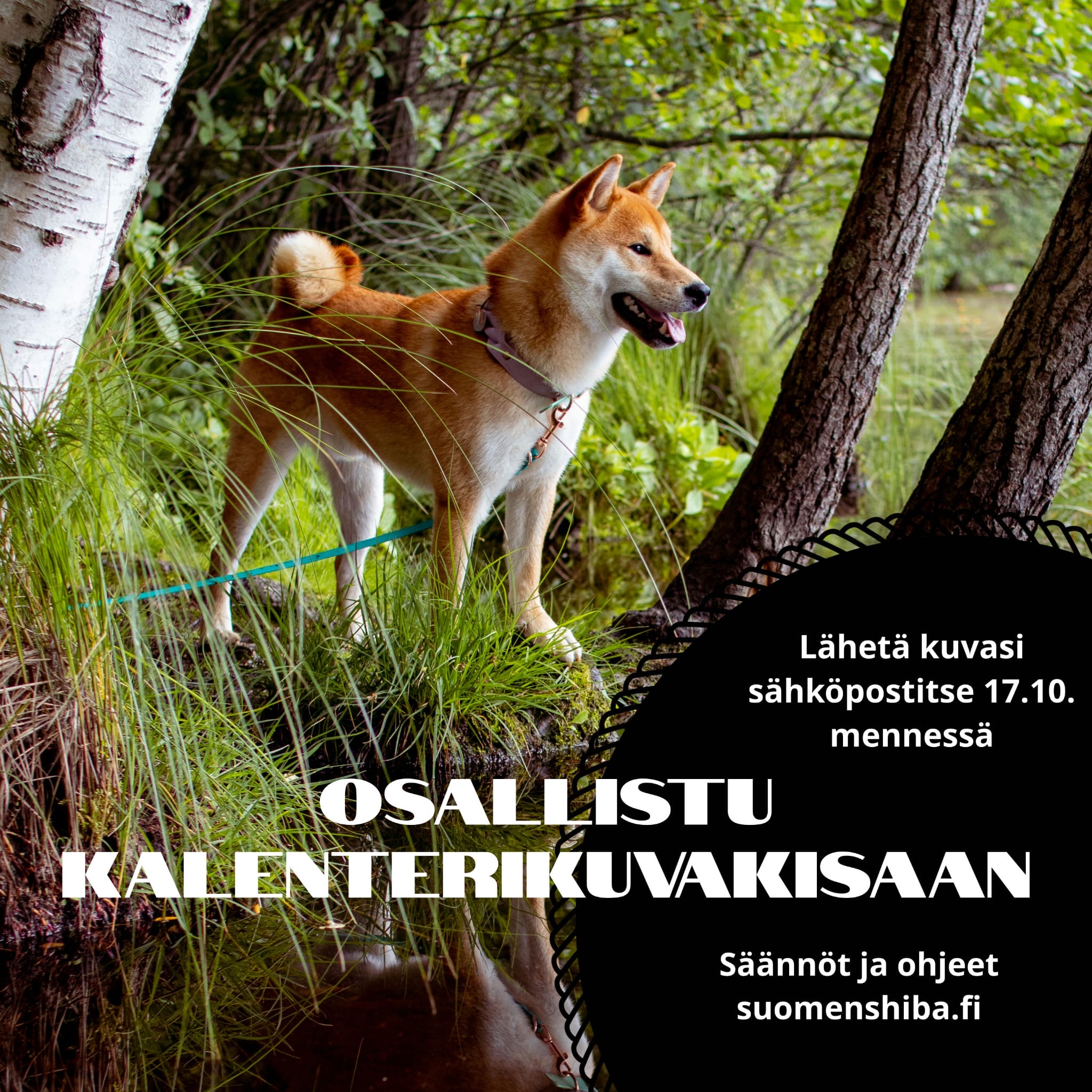 Osallistu kalenterikuvakisaan!